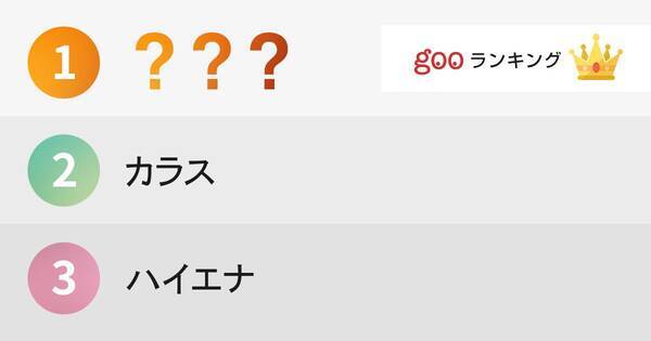 性格が悪そうな動物ランキング １位ニンゲン 14年9月5日 エキサイトニュース