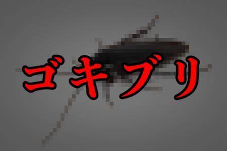 家で発見すると絶叫しちゃう虫ランキング 19年2月17日 エキサイトニュース