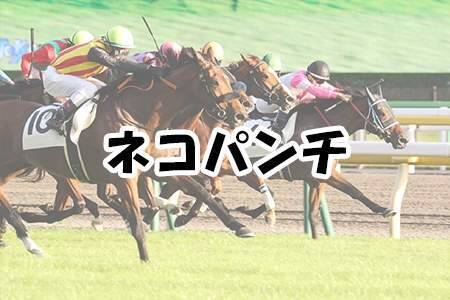 思わず2度見 クセの強すぎる競走馬の名前ランキング 年5月31日 エキサイトニュース 2 2