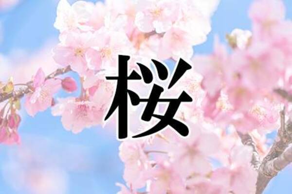 日本一かわいい 名字ランキング 21年3月13日 エキサイトニュース