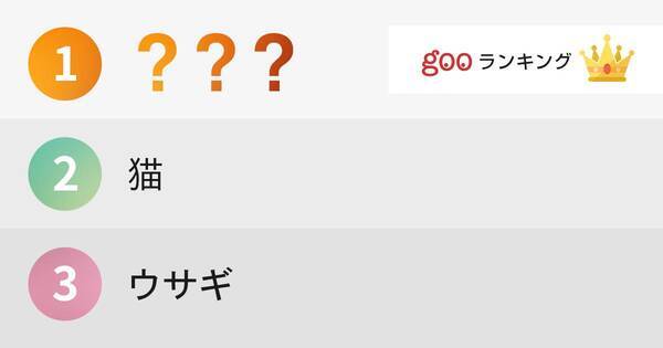 飼ってみたい動物ランキング 15年10月21日 エキサイトニュース
