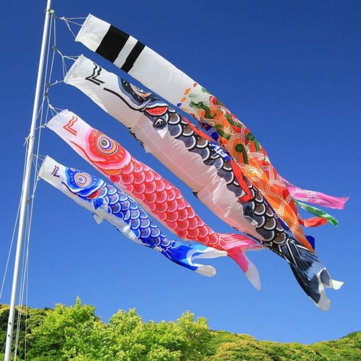何歳まで飾る 室内でもいい 知っておきたい鯉のぼりあれこれ 17年5月5日 エキサイトニュース