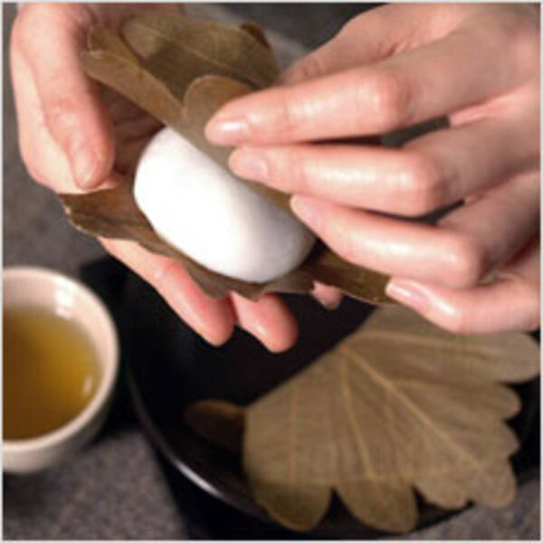 かしわ餅は葉っぱも食べる 10年4月30日 エキサイトニュース