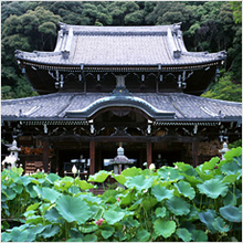 日本にはなぜお寺や神社が多いの？