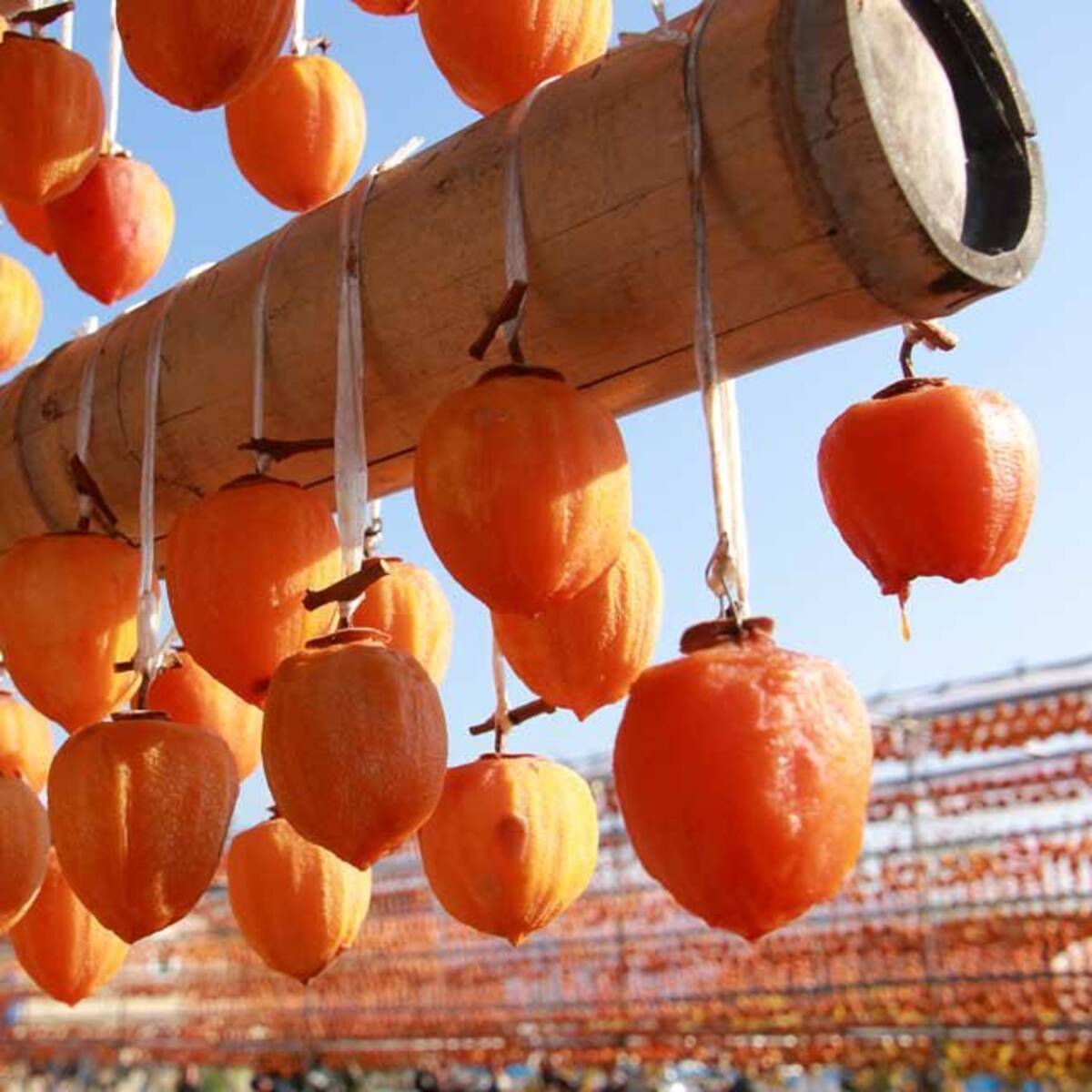 失敗しない干し柿の作り方 17年11月1日 エキサイトニュース