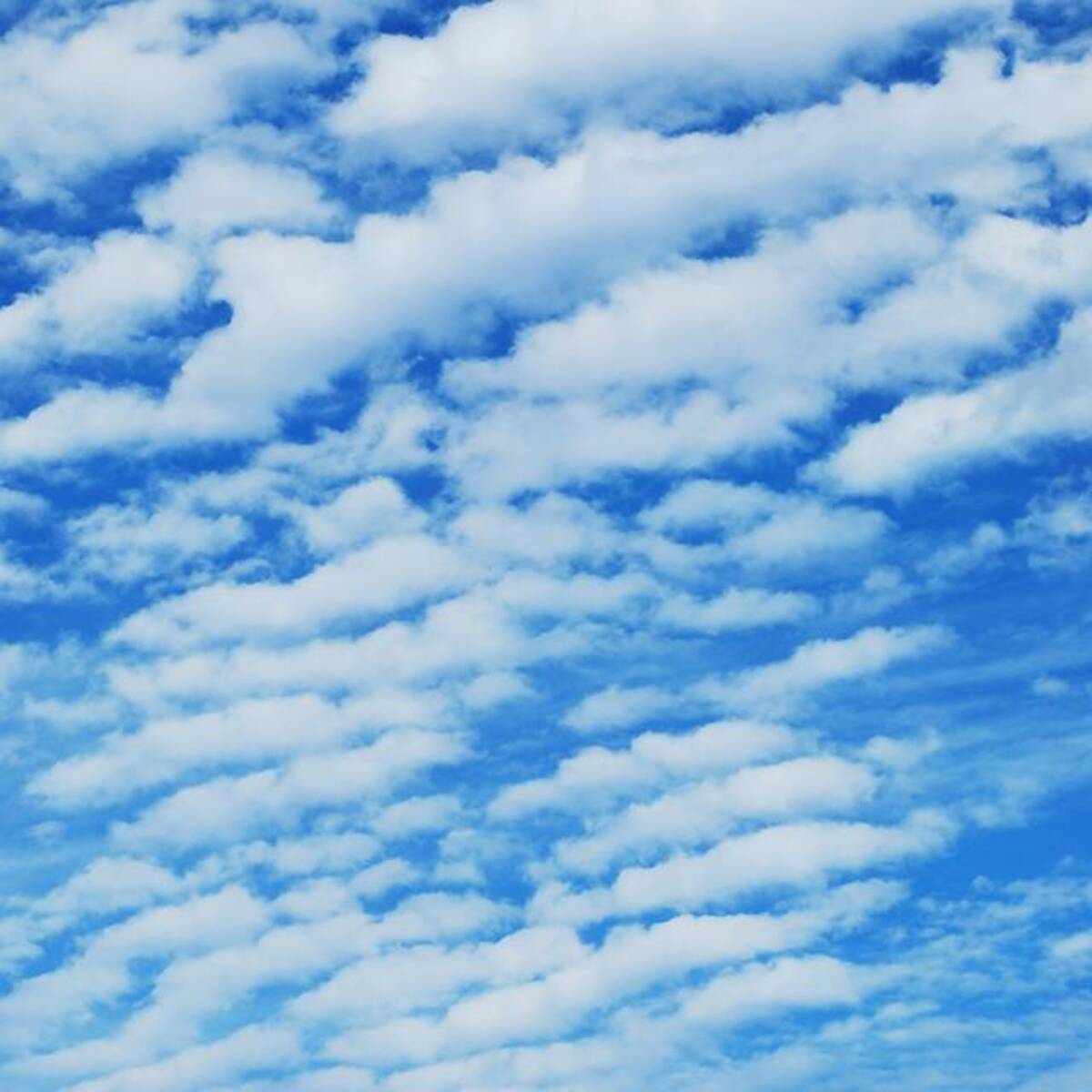 実は全く同じもの うろこ雲といわし雲の見分け方を教えて 15年9月19日 エキサイトニュース