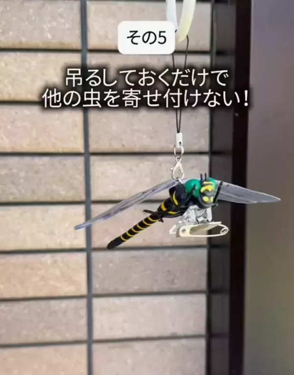 「虫を寄せつけない飾り？　外でも使える工夫に「助かる」「安心できる」」の画像