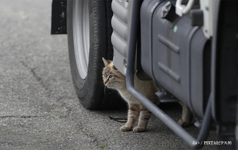 「これは本当に大切」「常識になってほしい」 『7万いいね』を集めた注意喚起とは
