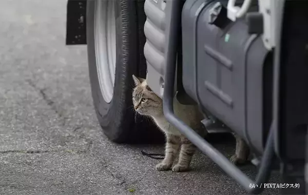 「これは本当に大切」「常識になってほしい」 『7万いいね』を集めた注意喚起とは