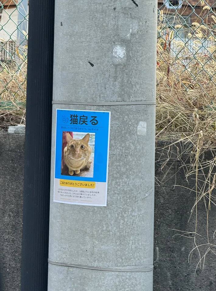 電柱の貼り紙に１６万いいね！　写真の上に書かれた３文字が？「こんなの初めて見た」「最高」