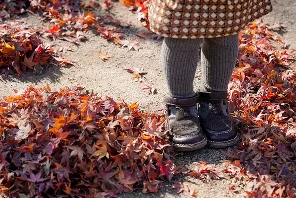 「母親「まさかのアンパンマントラップ」　紅葉の名所で出会った『落葉アート』がこちら」の画像