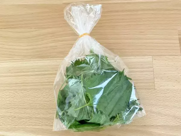 夏に食べたい大葉が「2週間も長持ち」！　プロが教える保存ワザが、こちら