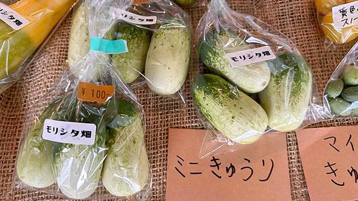 『細いキュウリ』と『太いキュウリ』、違いがあるって知ってた？　農家の知恵に「試してみたい」