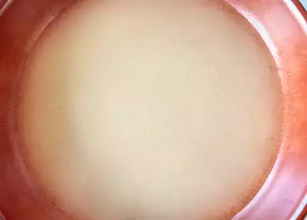 「白菜の上にのせて巻いたのは…スープを飲み干したくなる『白菜ロール』」の画像
