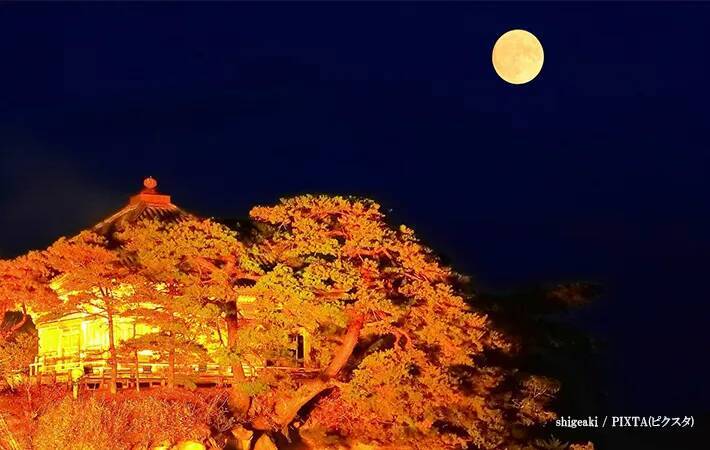 2025年最後の『スーパームーン』がもうすぐ！　特別な満月に何を願う？