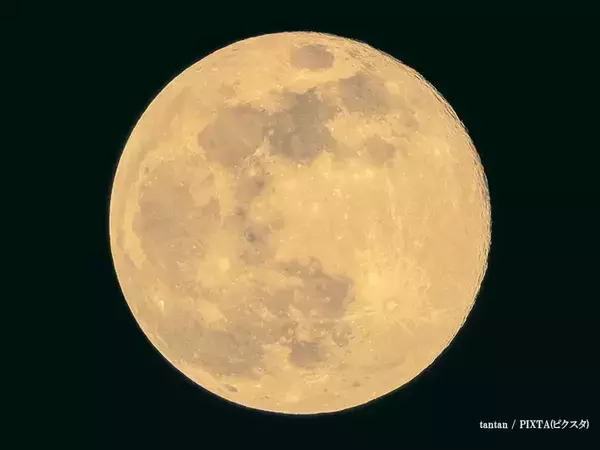 「2025年最後の『スーパームーン』がもうすぐ！　特別な満月に何を願う？」の画像