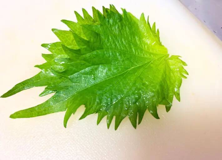 材料たった3つだけ！　トマトと大葉の一品に「実は超簡単」「夫が大絶賛」