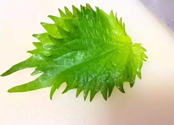 「材料たった3つだけ！　トマトと大葉の一品に「実は超簡単」「夫が大絶賛」」の画像
