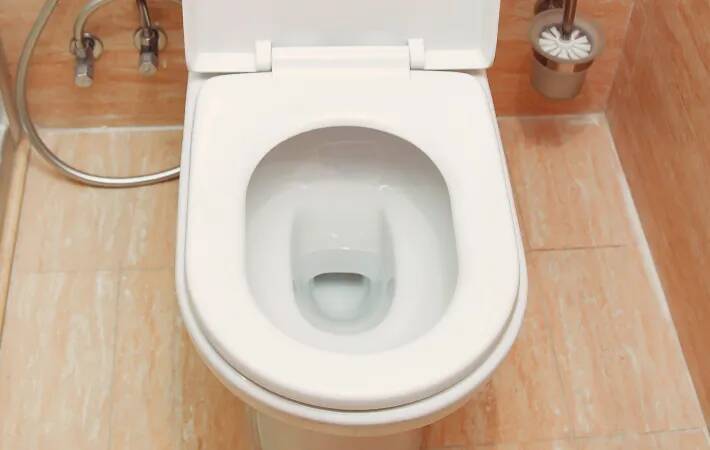 便器の蓋、旅行前に閉めてる？　長期不在時にやるべき、トイレのニオイ対策