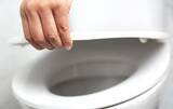「便器の蓋、旅行前に閉めてる？　長期不在時にやるべき、トイレのニオイ対策」の画像5