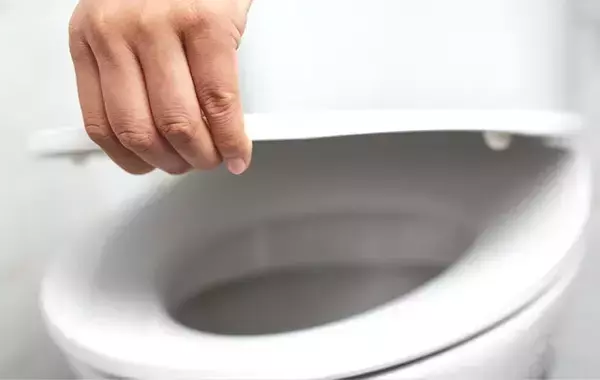 「便器の蓋、旅行前に閉めてる？　長期不在時にやるべき、トイレのニオイ対策」の画像