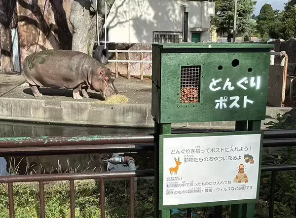 「動物園のユニークな取り組みに反響　カバ舎の前にあった『ポスト』に「かわいいシステム」」の画像
