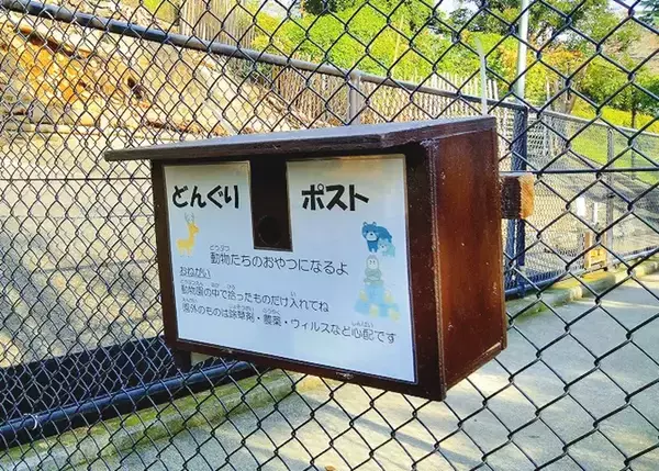 「動物園のユニークな取り組みに反響　カバ舎の前にあった『ポスト』に「かわいいシステム」」の画像