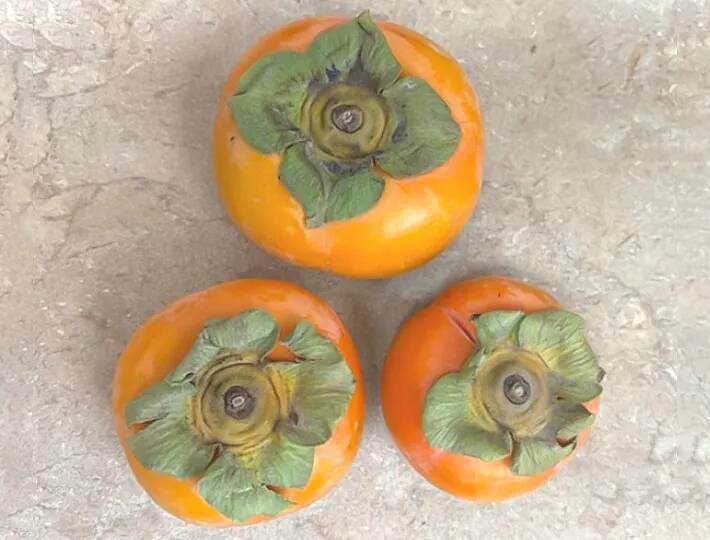 大きさも味も全然違う！　アメリカのスーパーで見つけた、日本の秋の味覚を食べてみると？