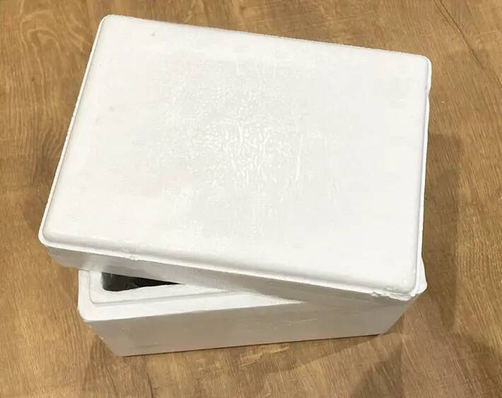 冷凍庫に入れていないのに…　果物を「まるでシャーベット」「シュワシュワ食感」にする方法が、こちら