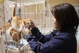 「保護動物の未来が変わる？　話題の『推し活支援』サービスが…【独自取材】」の画像11