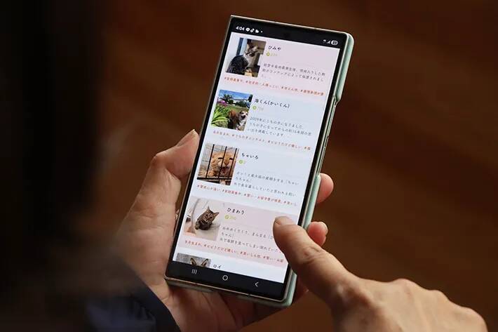 保護動物の未来が変わる？　話題の『推し活支援』サービスが…【独自取材】