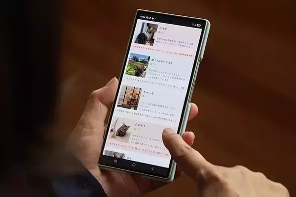 「保護動物の未来が変わる？　話題の『推し活支援』サービスが…【独自取材】」の画像