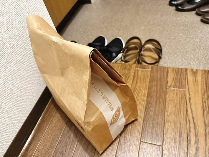 つっぱり棒で簡単に作れる「玄関の荷物置き場」　あえて『透けるカーテン』が正解！