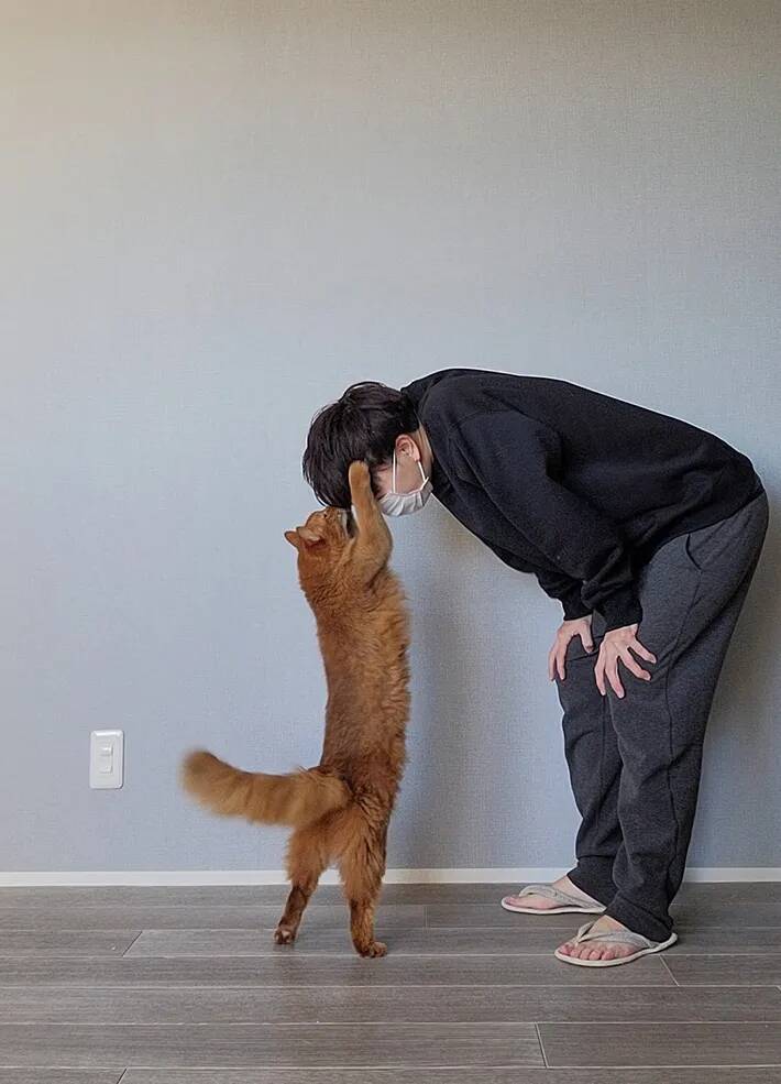 飼い主「褒めてもらった」　仕事を終えて帰宅すると、愛猫が…「なでなでしてる」「最高のご褒美」