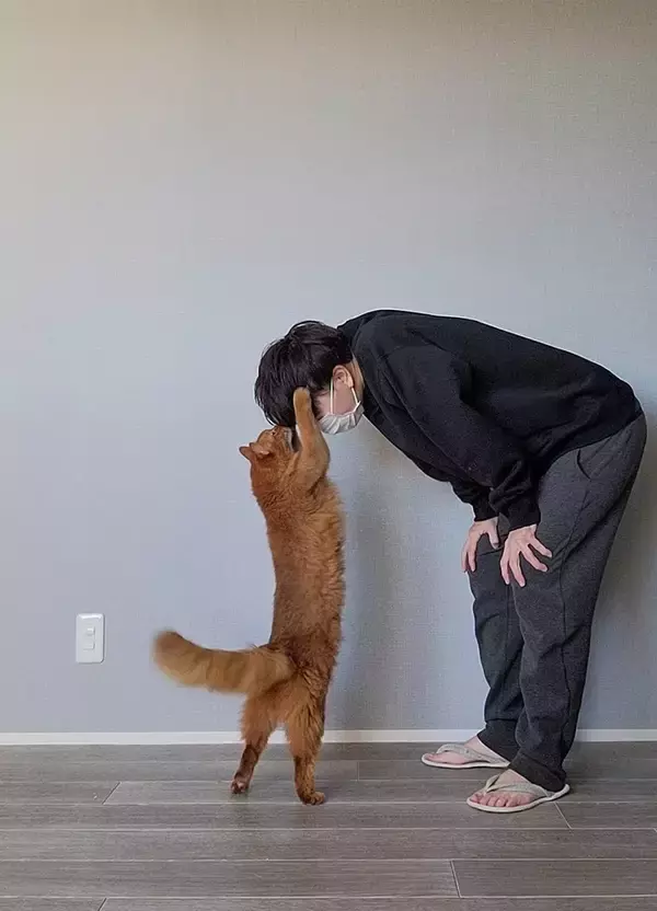 「飼い主「褒めてもらった」　仕事を終えて帰宅すると、愛猫が…「なでなでしてる」「最高のご褒美」」の画像