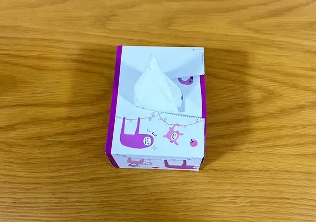 【活用法】空のティッシュ箱をカットして…　できたものに「エコでお得！」