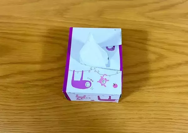 「【活用法】空のティッシュ箱をカットして…　できたものに「エコでお得！」」の画像