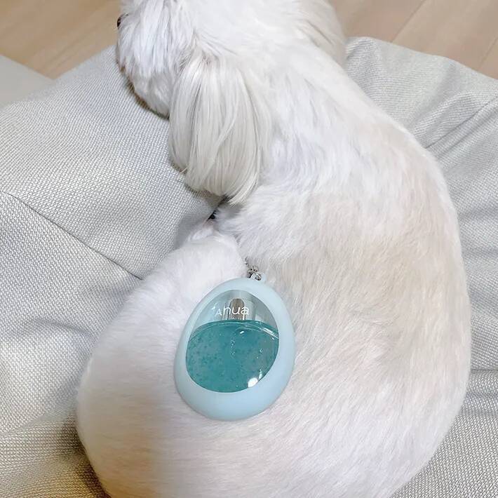 「撮影協力：犬」　愛犬が協力した斬新な撮影方法に「大笑いしちゃった」「天才か」