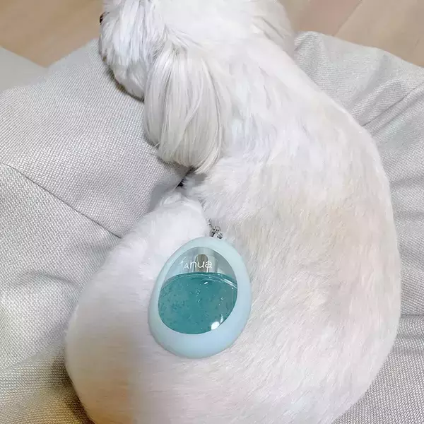 「「撮影協力：犬」　愛犬が協力した斬新な撮影方法に「大笑いしちゃった」「天才か」」の画像