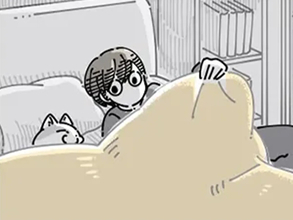 先に寝ていた愛猫　飼い主がそっとベッドに入ると…？「あるある」「めっちゃ分かる」