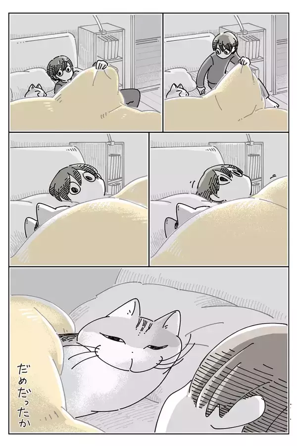 「先に寝ていた愛猫　飼い主がそっとベッドに入ると…？「あるある」「めっちゃ分かる」」の画像