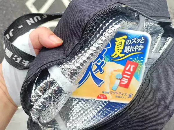 「アイスを溶かさずに持ち帰りたい」　ロッテに聞いたライフハックを試してみた！