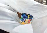 「「アイスを溶かさずに持ち帰りたい」　ロッテに聞いたライフハックを試してみた！」の画像2