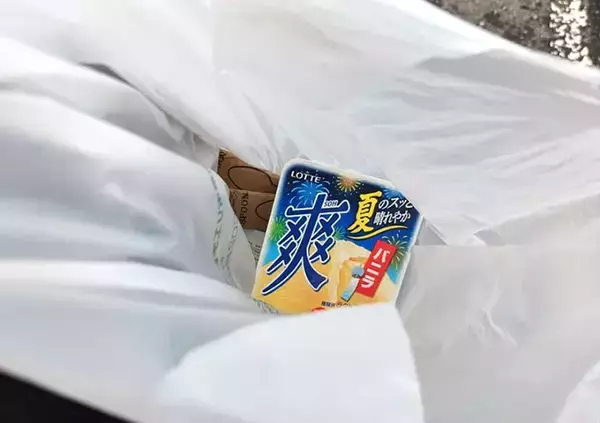 「「アイスを溶かさずに持ち帰りたい」　ロッテに聞いたライフハックを試してみた！」の画像