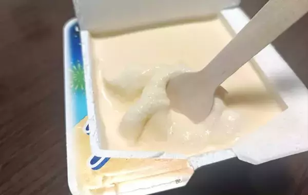 「「アイスを溶かさずに持ち帰りたい」　ロッテに聞いたライフハックを試してみた！」の画像