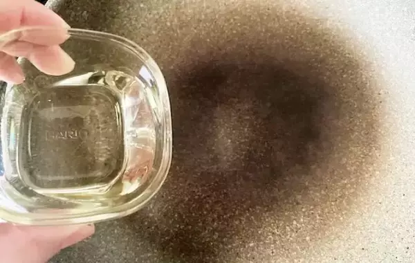「鶏肉に片栗粉をまぶして…　絶品おかずに「家族が大喜び」「これで十分かも」」の画像
