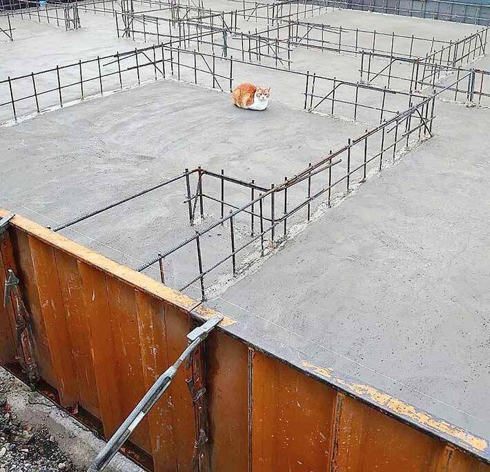 『マイホーム』を建てた女性　母親からの写真に驚いた理由が？