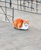 「『マイホーム』を建てた女性　母親からの写真に驚いた理由が？」の画像3