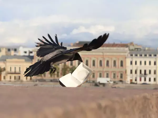 「配達員「荷物をカラスが…」　まさかの珍事件に「そんなことある！？」「涙出る」」の画像