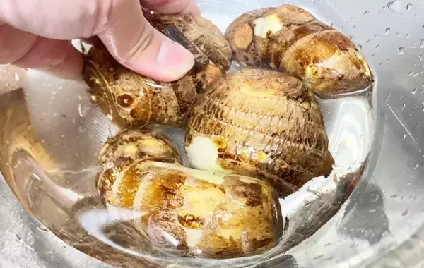 「里芋が化けた！　レンチンして切った後に…？「息子がずっと食べてる」【マンネリ打破レシピ】」の画像